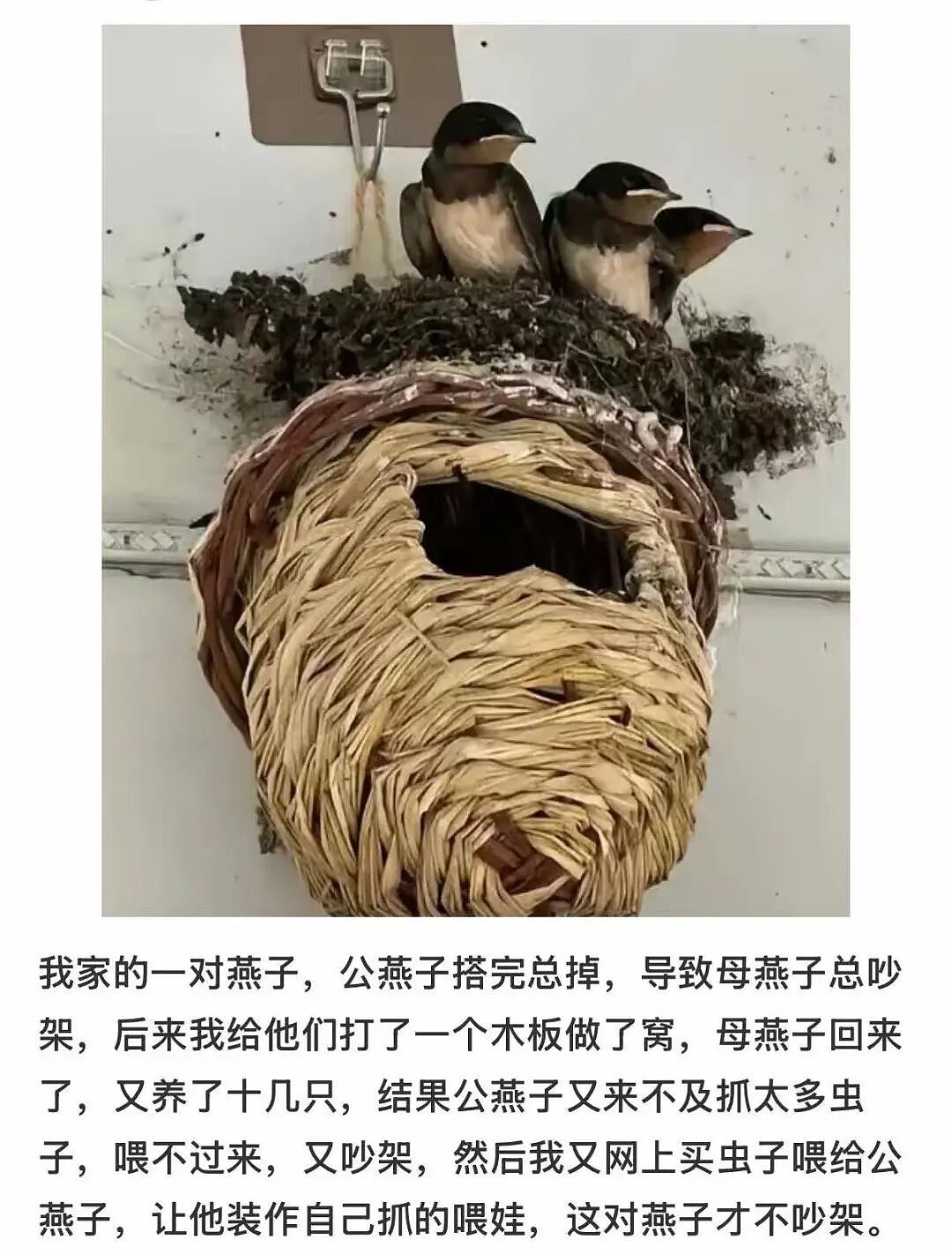 【爆笑】同事让我帮买饭却不主动a钱...？哈哈哈我将辞职在家专心研究这个评论区（组图） - 23