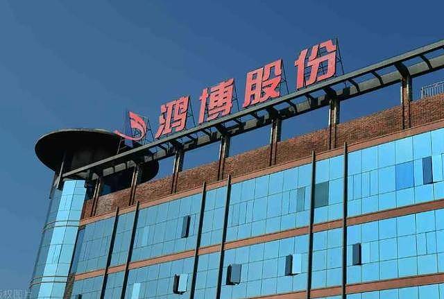 国内套现7个亿后,她露出了身后的美国国旗(组图) - 7
