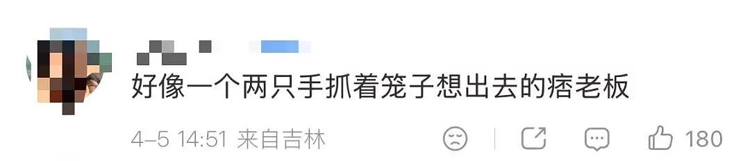 【爆笑】同事让我帮买饭却不主动a钱...？哈哈哈我将辞职在家专心研究这个评论区（组图） - 35