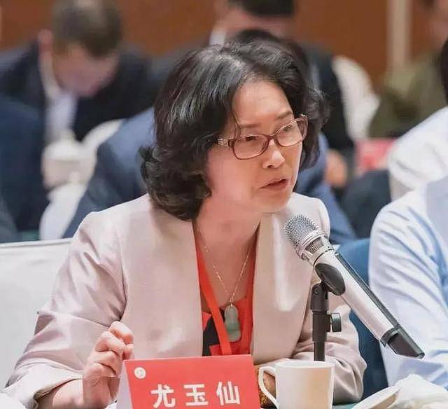 国内套现7个亿后,她露出了身后的美国国旗(组图) - 3
