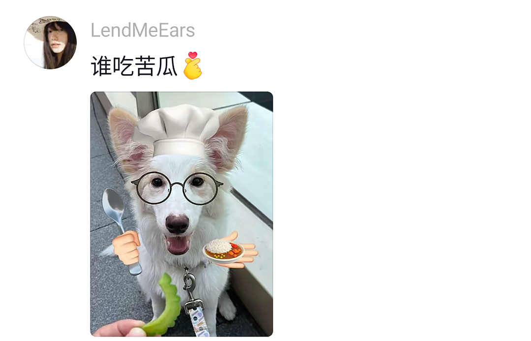 【宠物】狗子又被做局了，铲屎官给它放假消息告诉它火腿肠在桌子上，结果还被甩锅（组图） - 15