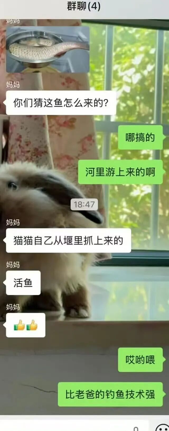 【爆笑】同事让我帮买饭却不主动a钱...？哈哈哈我将辞职在家专心研究这个评论区（组图） - 32