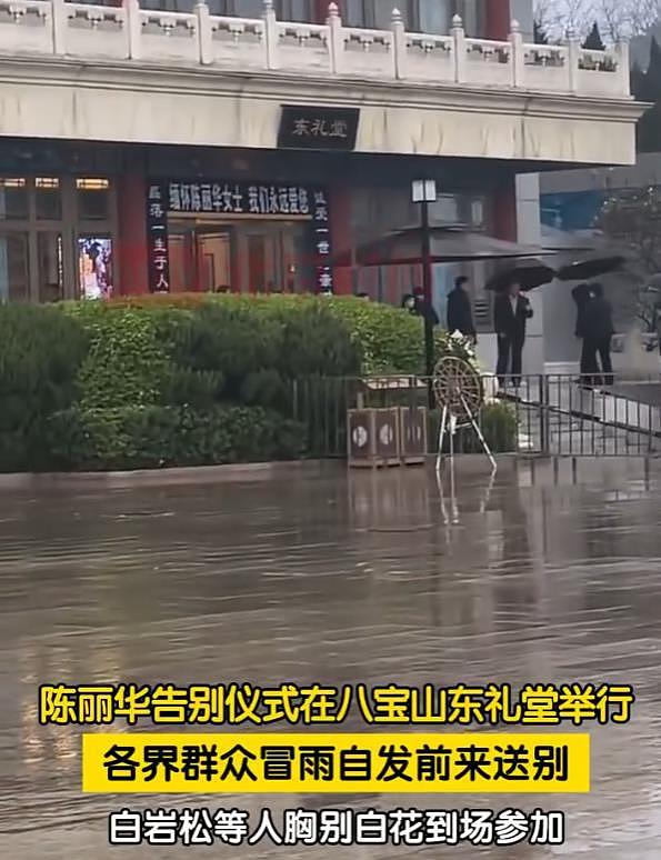 陈丽华告别仪式，马德华掩面哭泣，朱军白岩松胸前戴白花悼念（组图） - 2