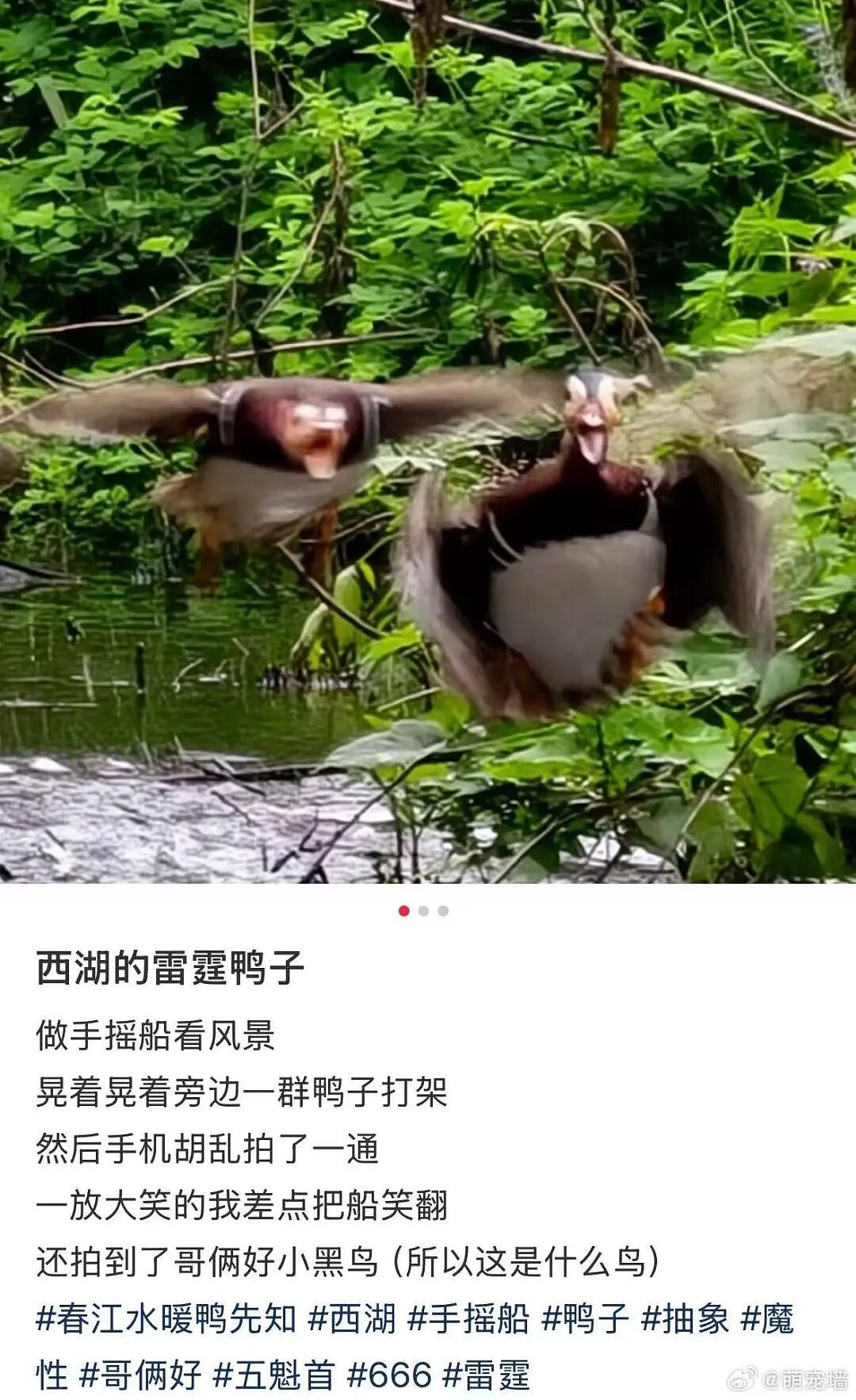 【爆笑】同事让我帮买饭却不主动a钱...？哈哈哈我将辞职在家专心研究这个评论区（组图） - 38