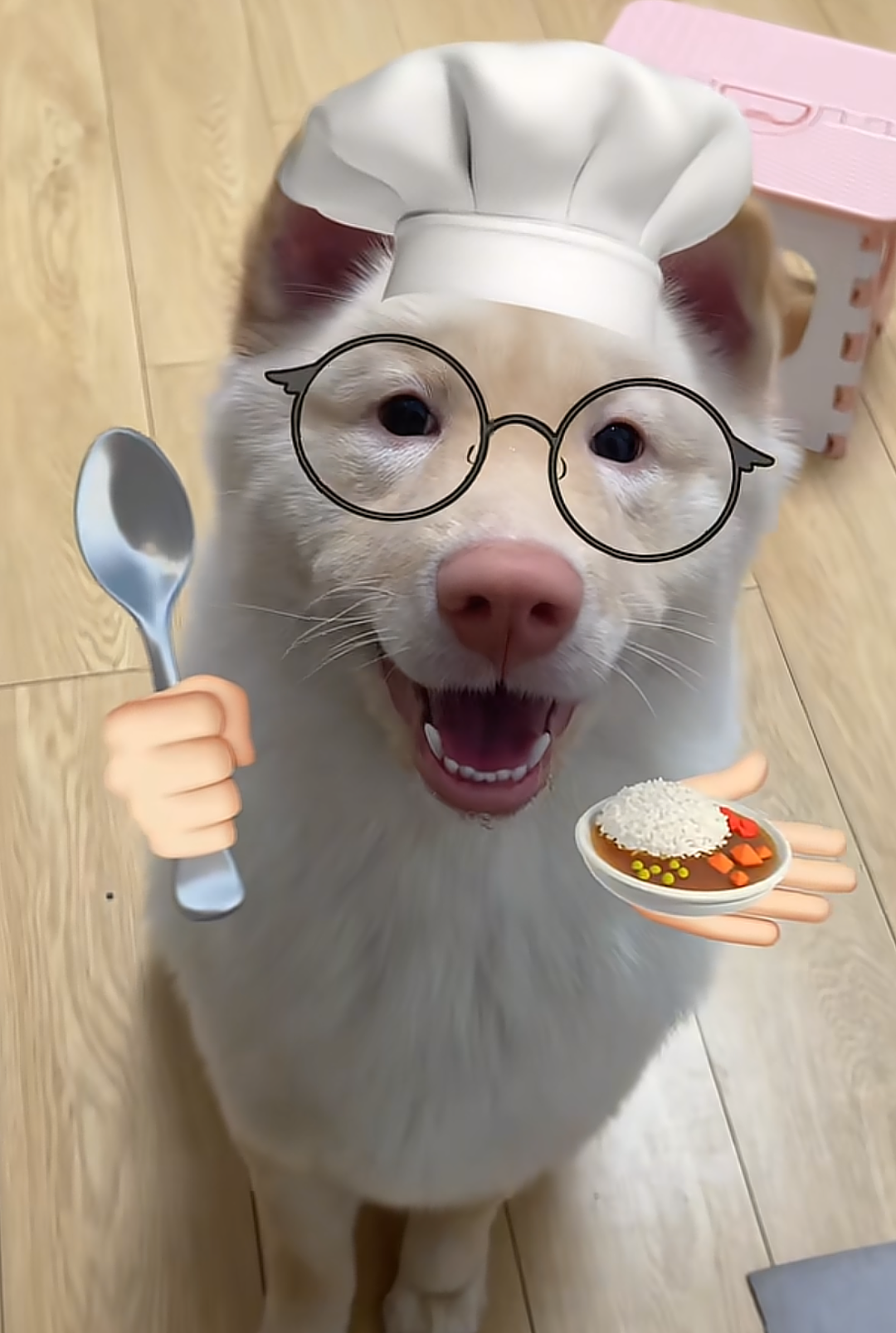 【宠物】狗子又被做局了，铲屎官给它放假消息告诉它火腿肠在桌子上，结果还被甩锅（组图） - 16