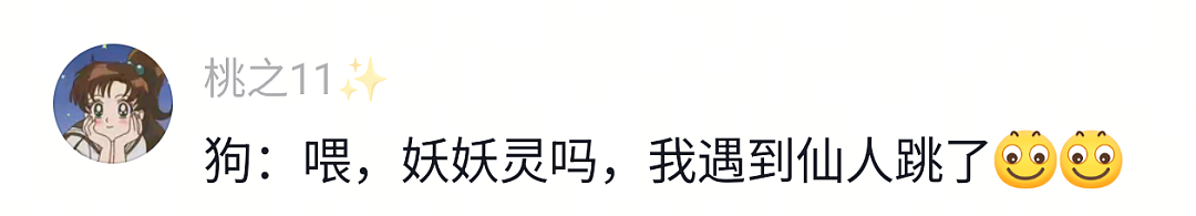 【宠物】狗子又被做局了，铲屎官给它放假消息告诉它火腿肠在桌子上，结果还被甩锅（组图） - 6