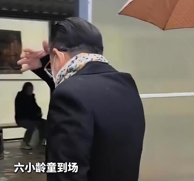陈丽华告别仪式，马德华掩面哭泣，朱军白岩松胸前戴白花悼念（组图） - 9