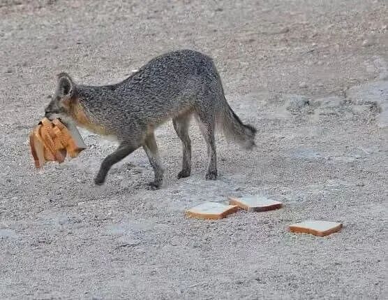 【爆笑】同事让我帮买饭却不主动a钱...？哈哈哈我将辞职在家专心研究这个评论区（组图） - 39