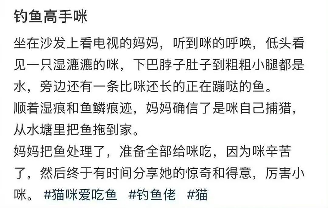 【爆笑】同事让我帮买饭却不主动a钱...？哈哈哈我将辞职在家专心研究这个评论区（组图） - 31