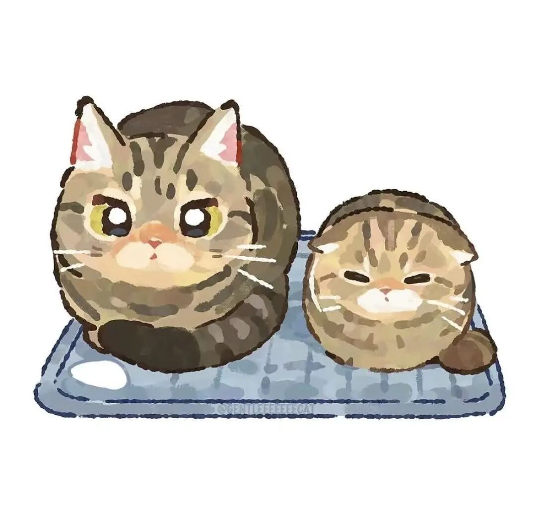 【宠物】10种神仙猫咪大赏！软萌暴击来袭，每只都想抱回家（组图） - 26