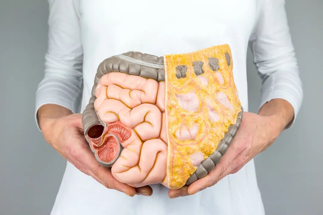 【健康】吃下去的东西，这个时间内排出，说明肠道很健康！（组图） - 2
