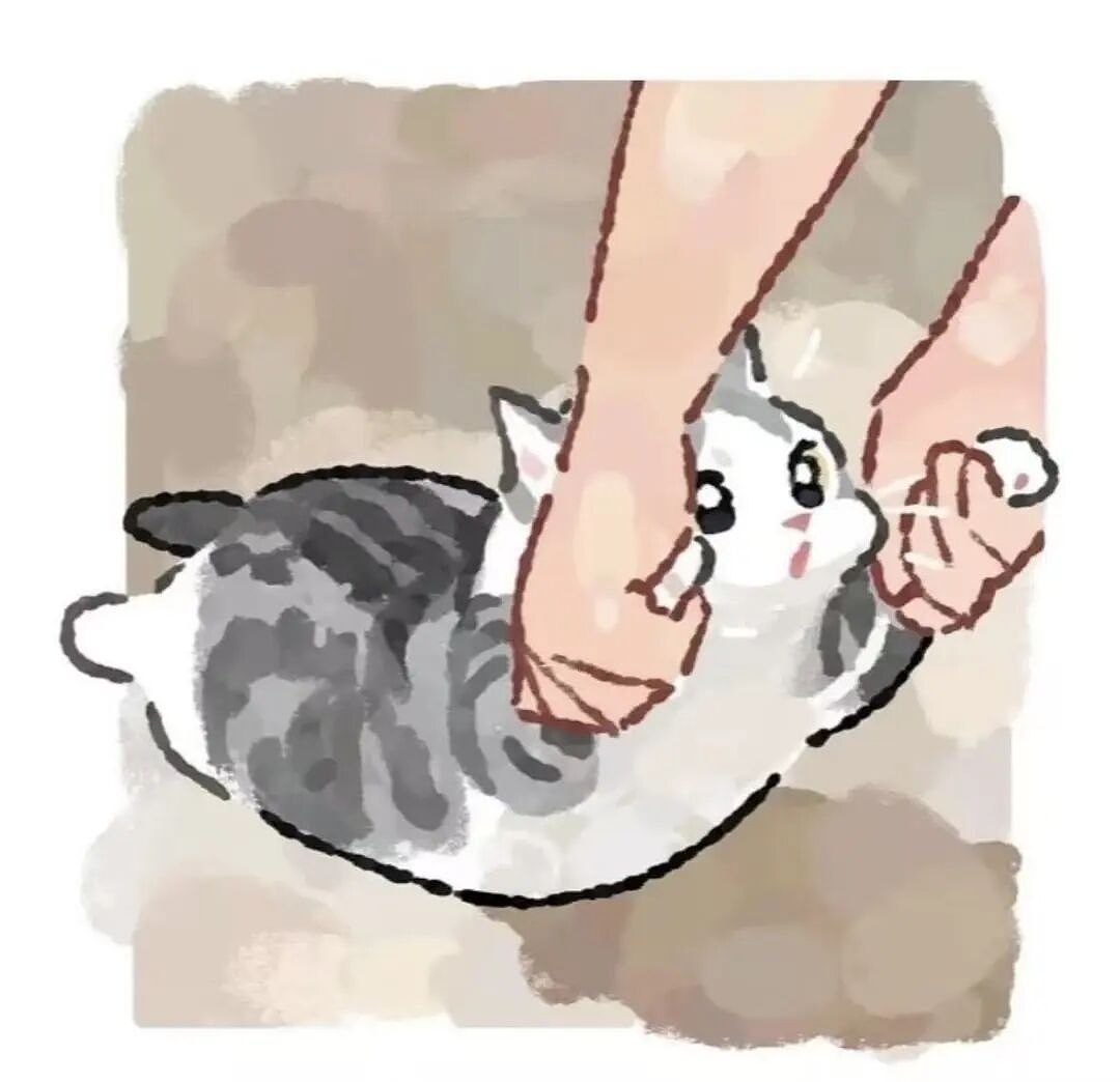 【宠物】10种神仙猫咪大赏！软萌暴击来袭，每只都想抱回家（组图） - 13