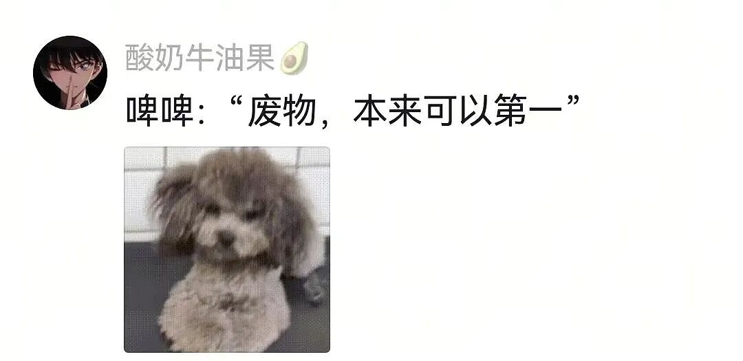 【宠物】狗子在马拉松上上演速度与激情，主人在身后狂追…好不容易熬到终点，狗子喜提前十，网友：要不是你，孩子能拿前三…（组图） - 20