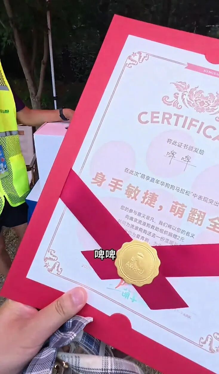 【宠物】狗子在马拉松上上演速度与激情，主人在身后狂追…好不容易熬到终点，狗子喜提前十，网友：要不是你，孩子能拿前三…（组图） - 19