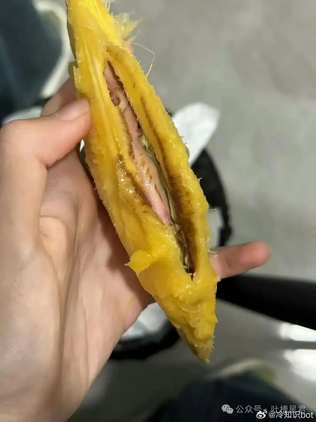 【爆笑】“带儿子旅游住到了监狱风酒店…？”哈哈哈老父亲恨不得当场钻地缝里！（组图） - 30