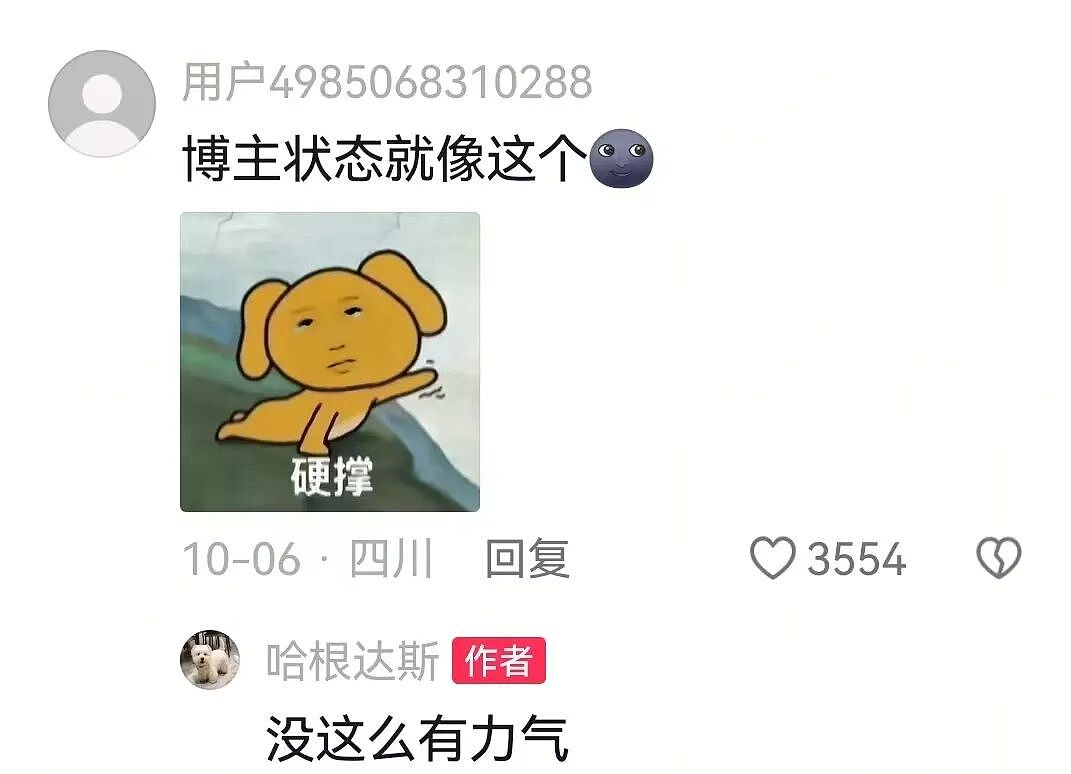 【宠物】狗子在马拉松上上演速度与激情，主人在身后狂追…好不容易熬到终点，狗子喜提前十，网友：要不是你，孩子能拿前三…（组图） - 14