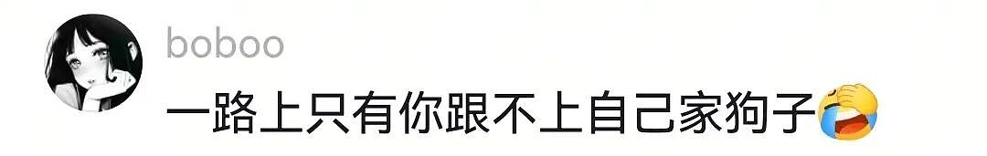 【宠物】狗子在马拉松上上演速度与激情，主人在身后狂追…好不容易熬到终点，狗子喜提前十，网友：要不是你，孩子能拿前三…（组图） - 21