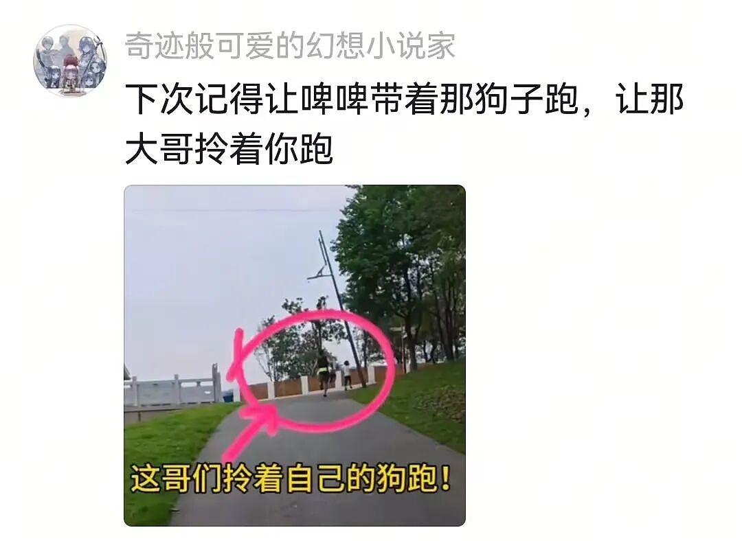 【宠物】狗子在马拉松上上演速度与激情，主人在身后狂追…好不容易熬到终点，狗子喜提前十，网友：要不是你，孩子能拿前三…（组图） - 22