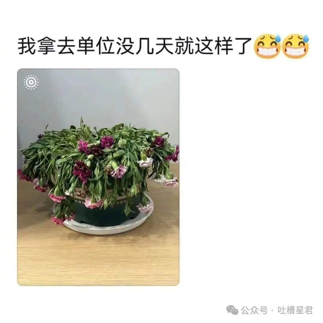 【爆笑】“姑姑介绍的相亲对象让人当场力竭…?”啊啊啊看完我笑的想报警!(组图) - 19