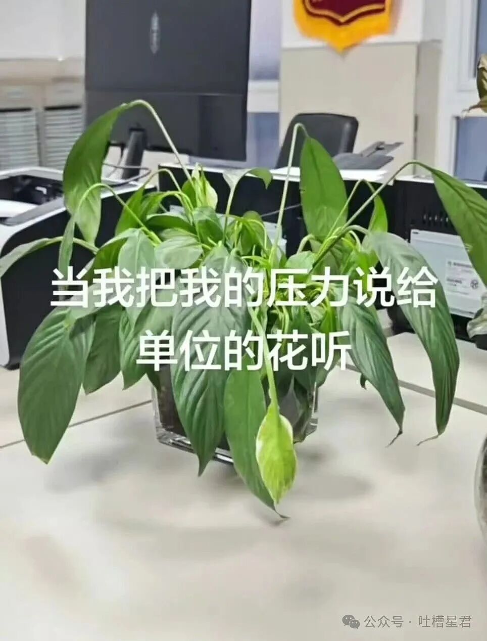 【爆笑】“姑姑介绍的相亲对象让人当场力竭…?”啊啊啊看完我笑的想报警!(组图) - 17