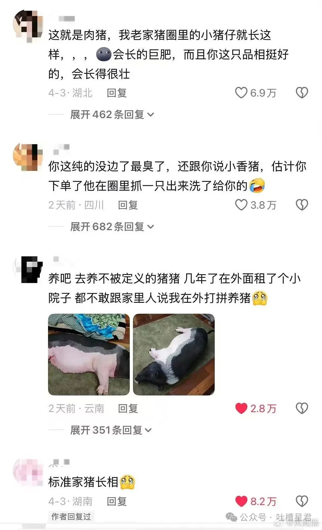 【爆笑】“姑姑介绍的相亲对象让人当场力竭…?”啊啊啊看完我笑的想报警!(组图) - 57