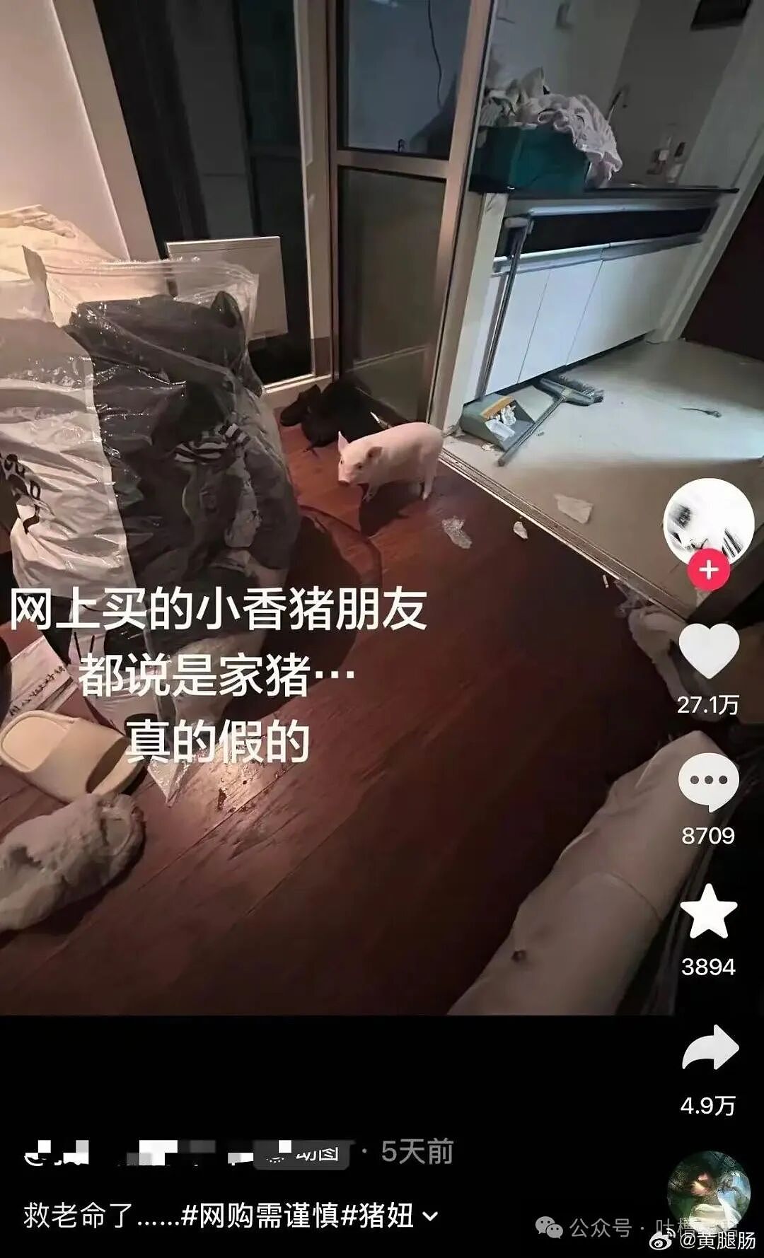 【爆笑】“姑姑介绍的相亲对象让人当场力竭…?”啊啊啊看完我笑的想报警!(组图) - 56