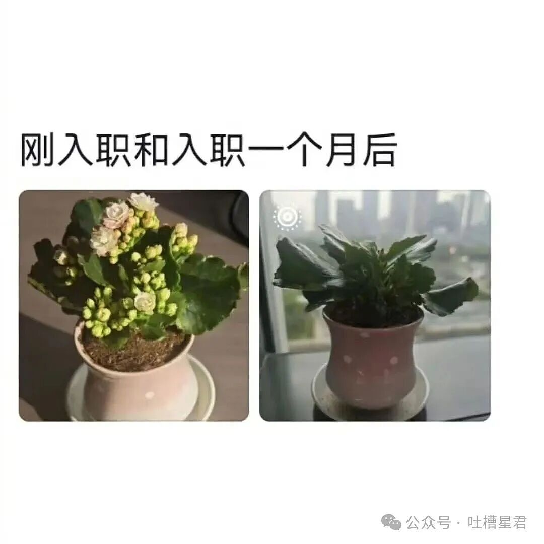 【爆笑】“姑姑介绍的相亲对象让人当场力竭…?”啊啊啊看完我笑的想报警!(组图) - 18