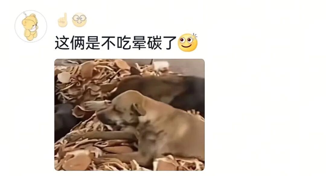 【宠物】主人突然狗叫一声，想看看自家毛孩子的反应，没想到狗子满脸惊恐：这么多年了，你都瞒着我当个哑巴吗…（组图） - 22
