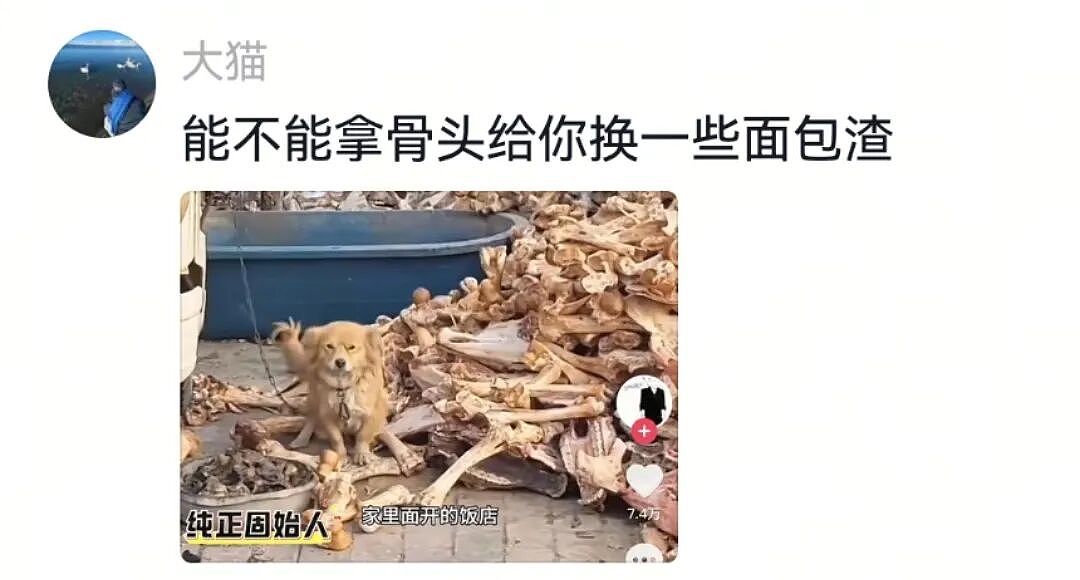 【宠物】主人突然狗叫一声，想看看自家毛孩子的反应，没想到狗子满脸惊恐：这么多年了，你都瞒着我当个哑巴吗…（组图） - 23