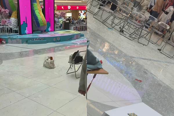 满地血迹！大陆商场动漫展突降玻璃碎片雨，多人带血狂奔画面曝（组图） - 9
