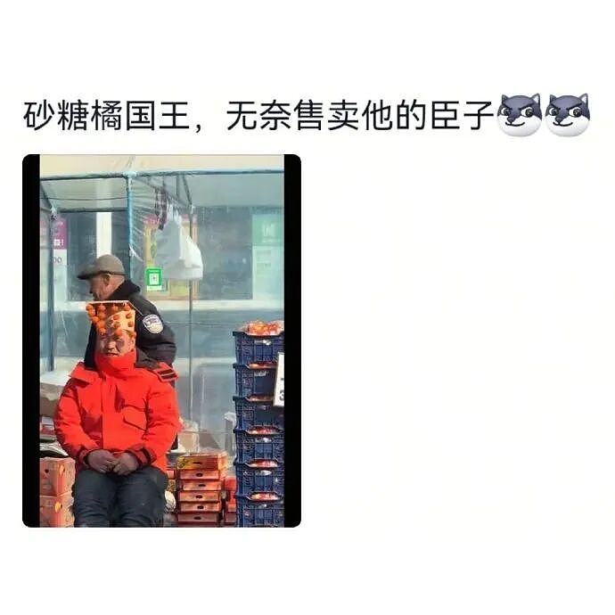 【爆笑】家里给我介绍相亲对象，说是一个没谈过女孩的好男生！结果没想到...（组图） - 55