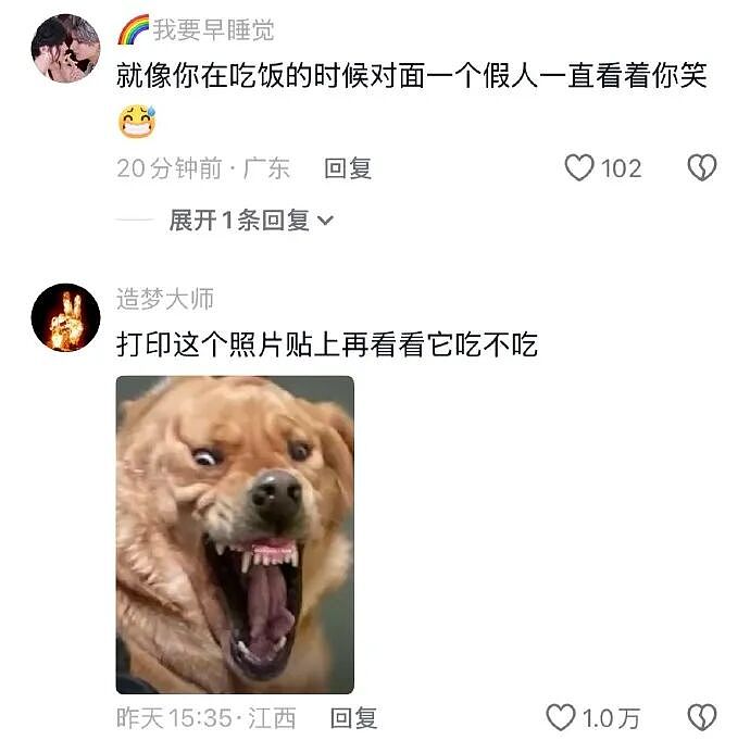 【爆笑】家里给我介绍相亲对象，说是一个没谈过女孩的好男生！结果没想到...（组图） - 5