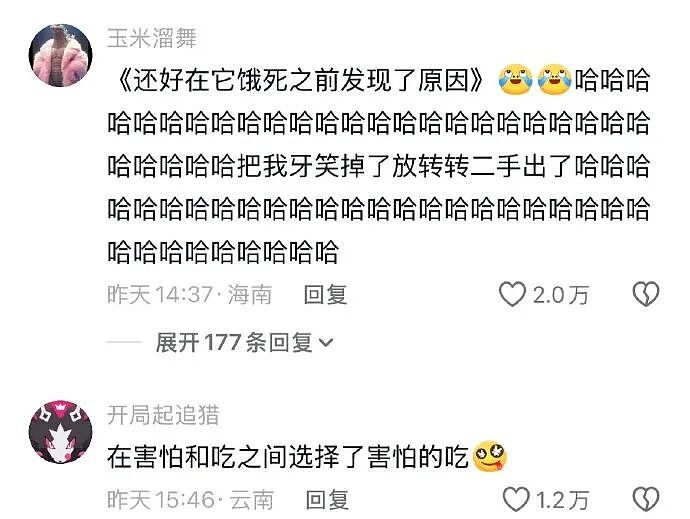 【爆笑】家里给我介绍相亲对象，说是一个没谈过女孩的好男生！结果没想到...（组图） - 6