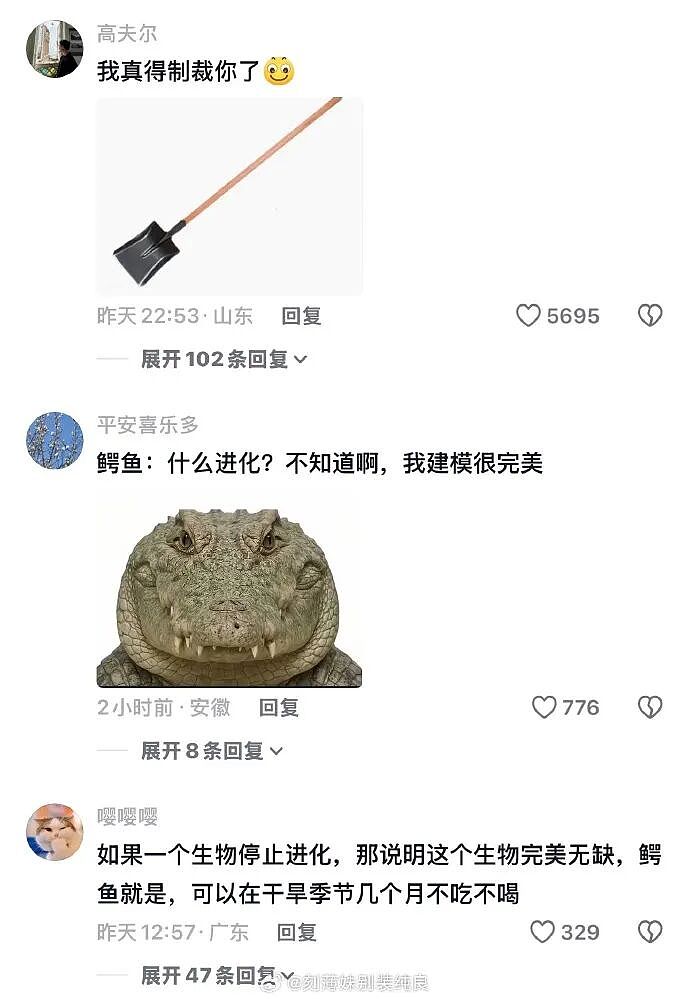【爆笑】家里给我介绍相亲对象，说是一个没谈过女孩的好男生！结果没想到...（组图） - 45