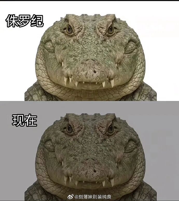【爆笑】家里给我介绍相亲对象，说是一个没谈过女孩的好男生！结果没想到...（组图） - 43