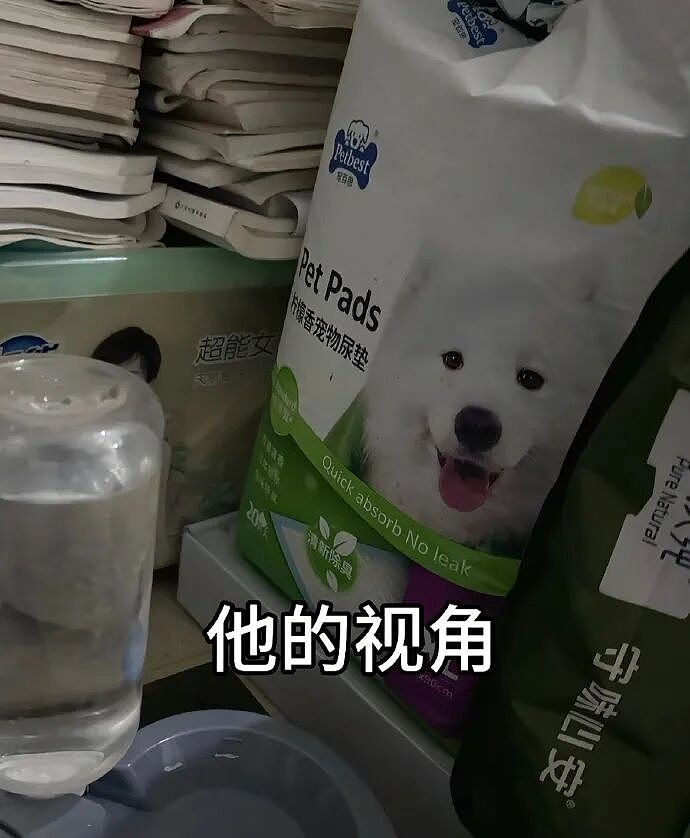 【爆笑】家里给我介绍相亲对象，说是一个没谈过女孩的好男生！结果没想到...（组图） - 3