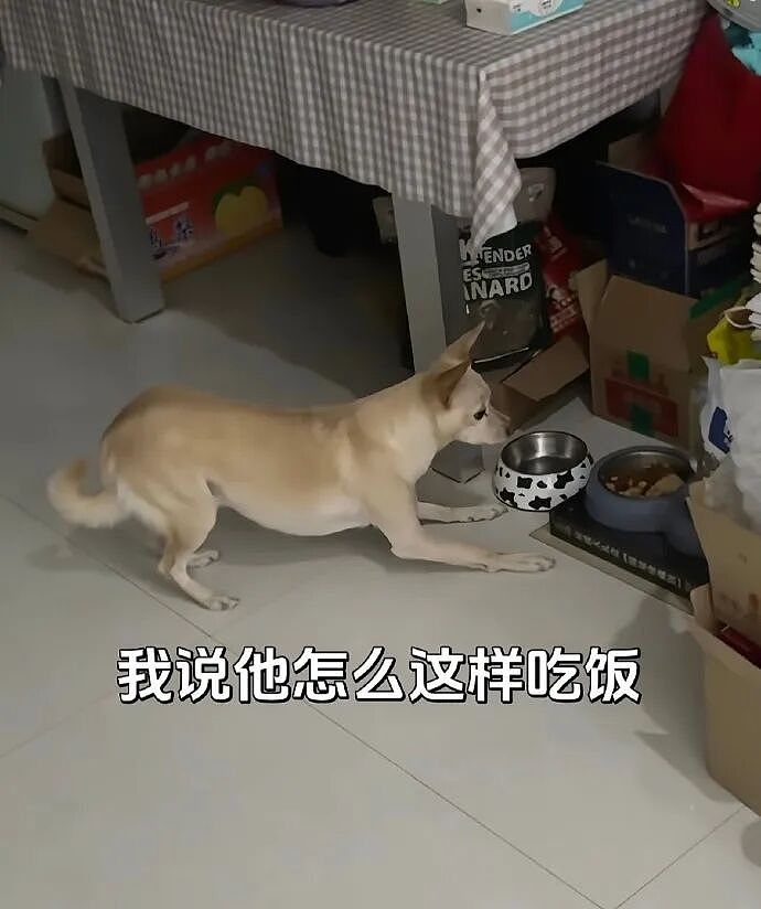 【爆笑】家里给我介绍相亲对象，说是一个没谈过女孩的好男生！结果没想到...（组图） - 2