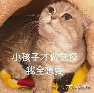 【两性】情趣玩具，两个人一起玩会更爽吗？（组图） - 3