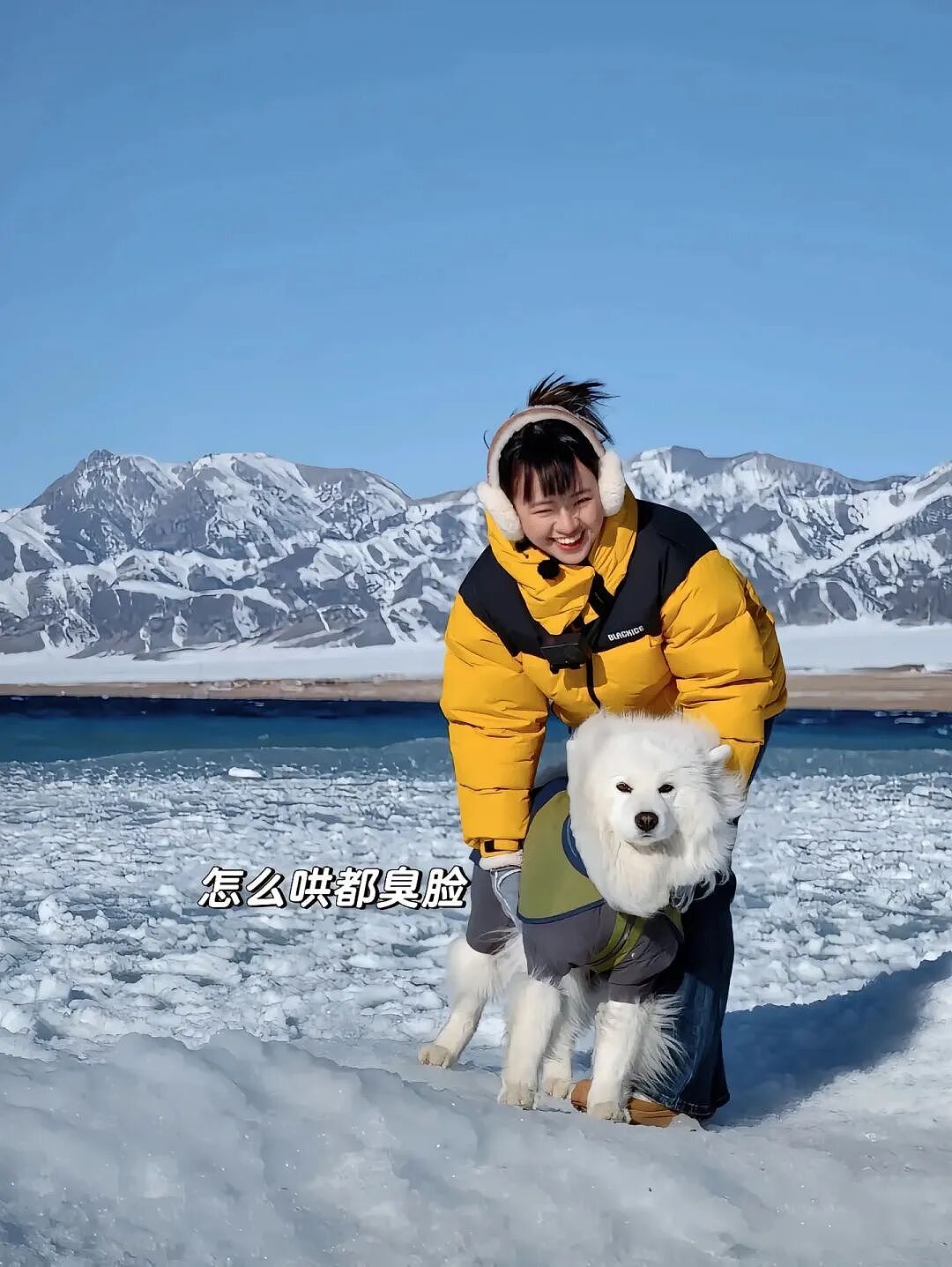 【宠物】主人带萨摩耶解思乡苦,结果耶耶全程臭脸,主人憋屈责怪,但小丑是自己(组图) - 1