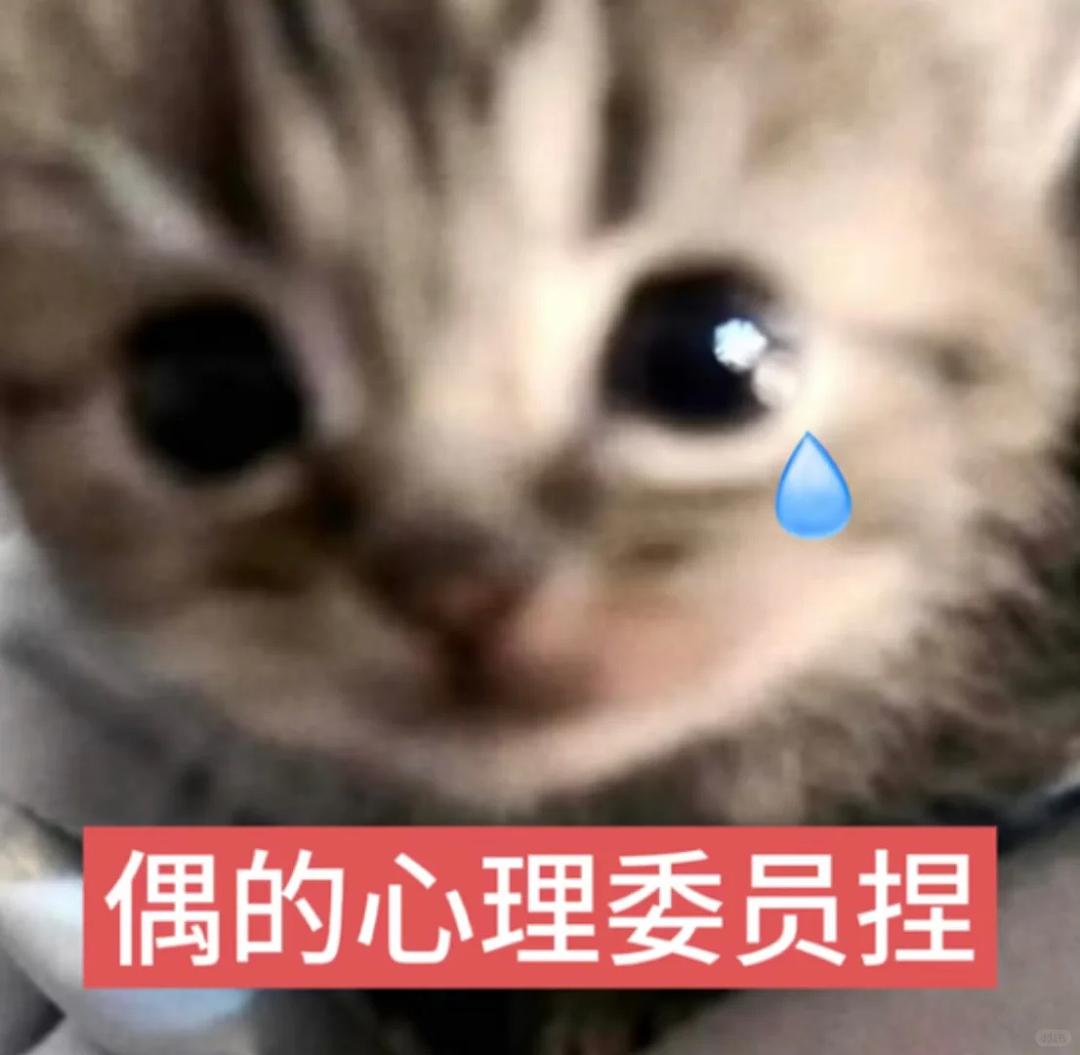 澳洲教育部有人提议取消小组作业，“受害者留子们“听懂掌声（组图） - 1
