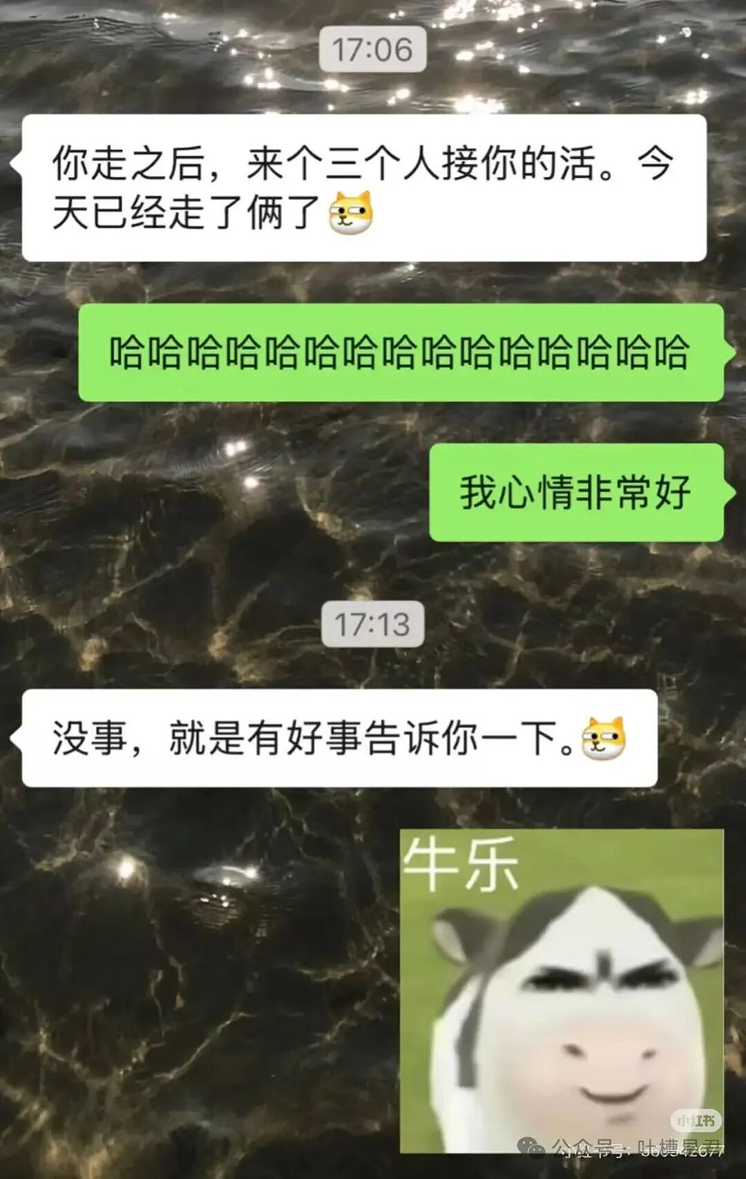 【爆笑】离婚开庭不敢去怕再次爱上前妻…?哈哈哈我在庭上为你厮杀你却说你还爱她(组图) - 13