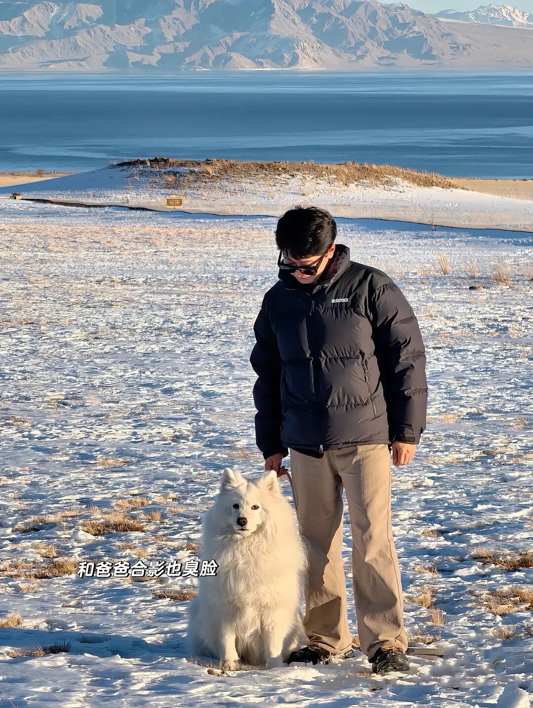 【宠物】主人带萨摩耶解思乡苦,结果耶耶全程臭脸,主人憋屈责怪,但小丑是自己(组图) - 3