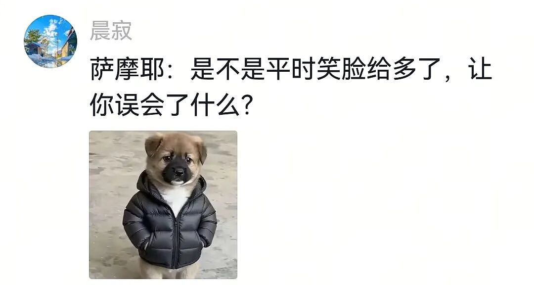 【宠物】主人带萨摩耶解思乡苦,结果耶耶全程臭脸,主人憋屈责怪,但小丑是自己(组图) - 21