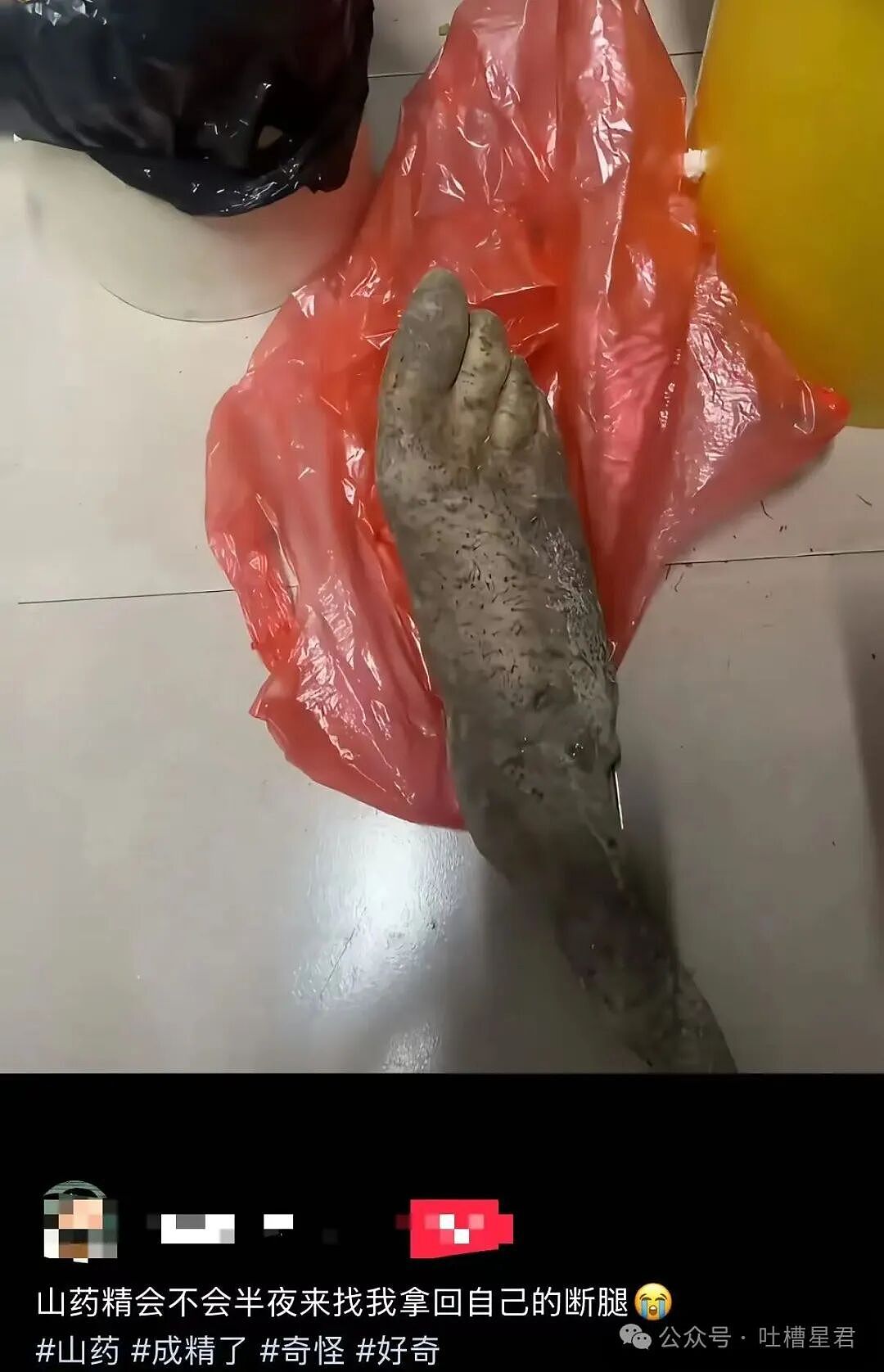 【爆笑】离婚开庭不敢去怕再次爱上前妻…?哈哈哈我在庭上为你厮杀你却说你还爱她(组图) - 21