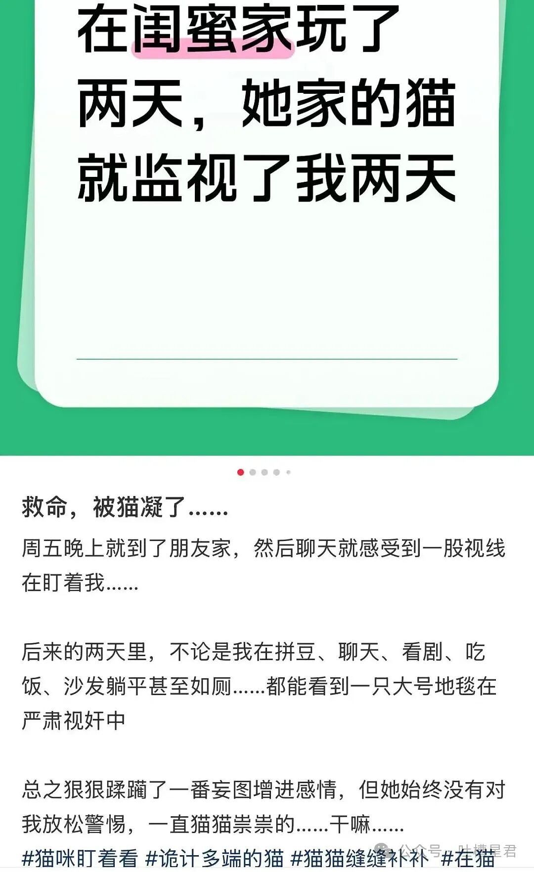 【爆笑】离婚开庭不敢去怕再次爱上前妻…?哈哈哈我在庭上为你厮杀你却说你还爱她(组图) - 8