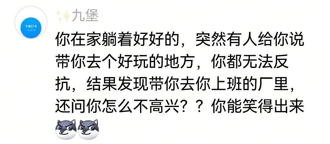 【宠物】主人带萨摩耶解思乡苦,结果耶耶全程臭脸,主人憋屈责怪,但小丑是自己(组图) - 7