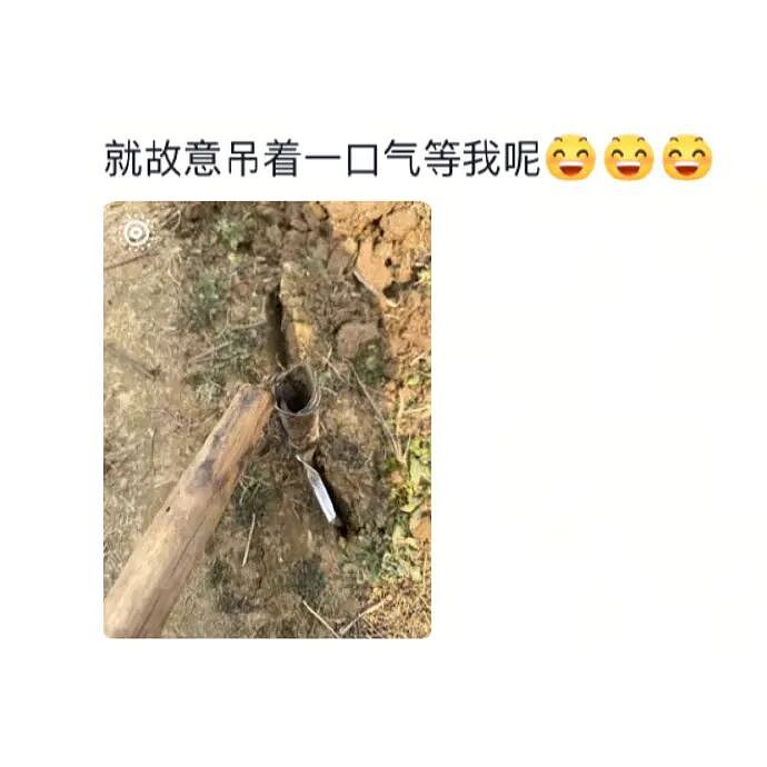 【爆笑】老公总喜欢给我转钱加起来转给我有30w了，但他出轨了我要离婚么（组图） - 75