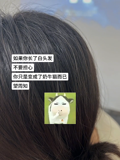 【宠物】主人网购大型猫玩具没看尺寸，收到货后惊呆了...咪：谢谢你送的衣服（组图） - 22