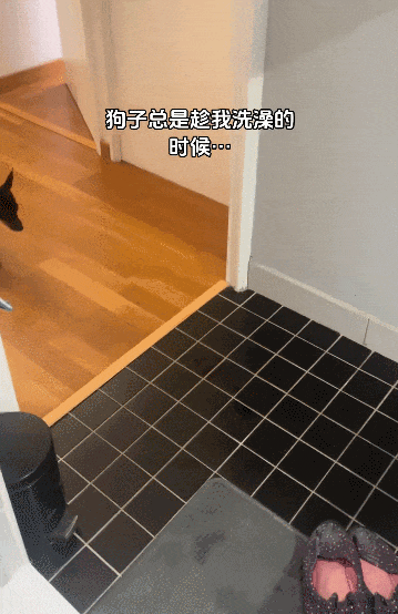 【宠物】主人网购大型猫玩具没看尺寸，收到货后惊呆了...咪：谢谢你送的衣服（组图） - 13