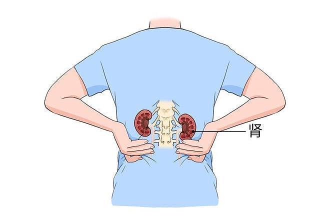【健康】寿命长短，排尿便知？提醒：排尿时若发现4个变化，应尽早检查（组图） - 6